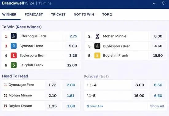 Пазари за залози на хрътки – H2H, forecast и tricast варианти за игра